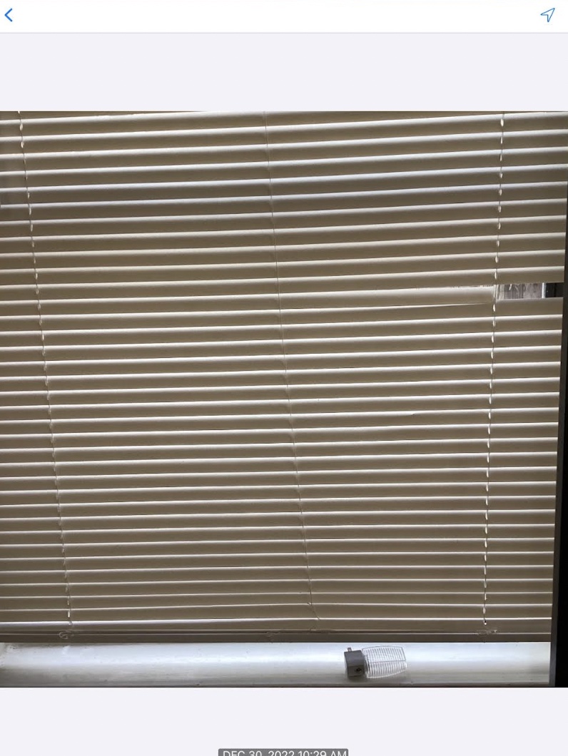 EFFADC0A-7BFC-45A7-A2DD-30500D1945AB.jpeg