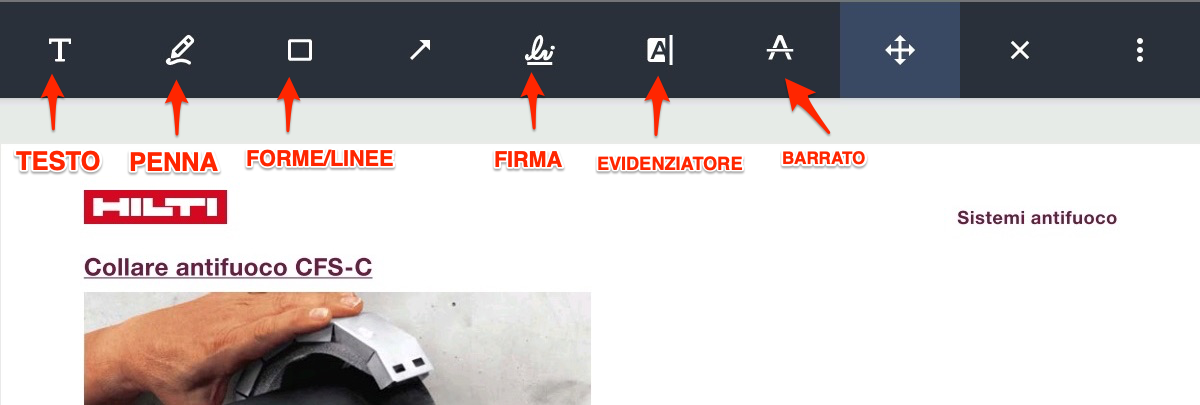 FR.png