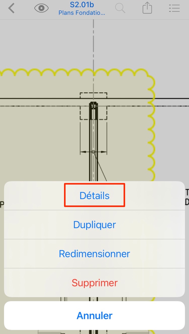 detailsios.jpg