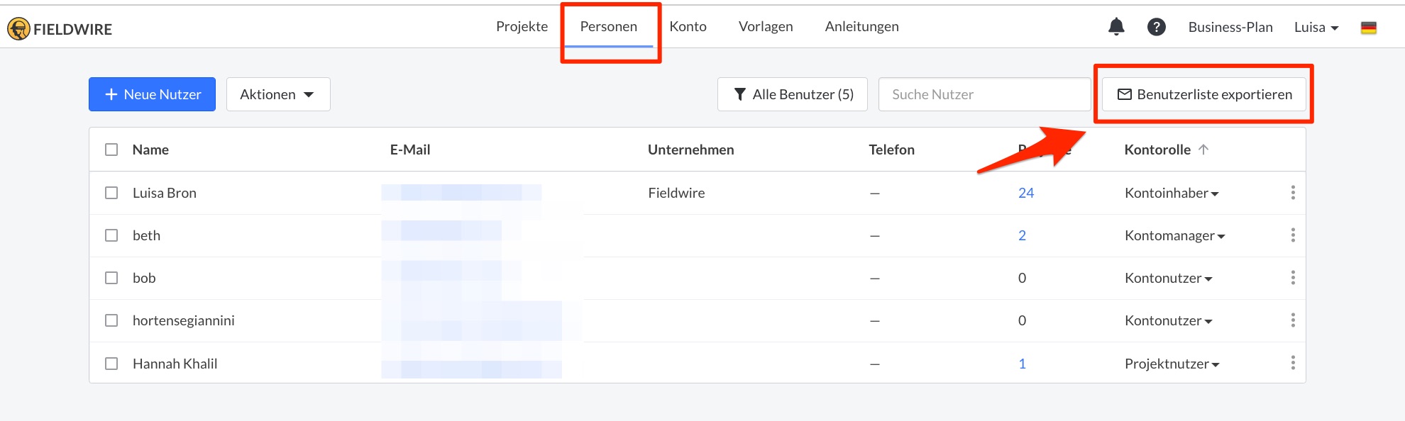 DE5.jpg